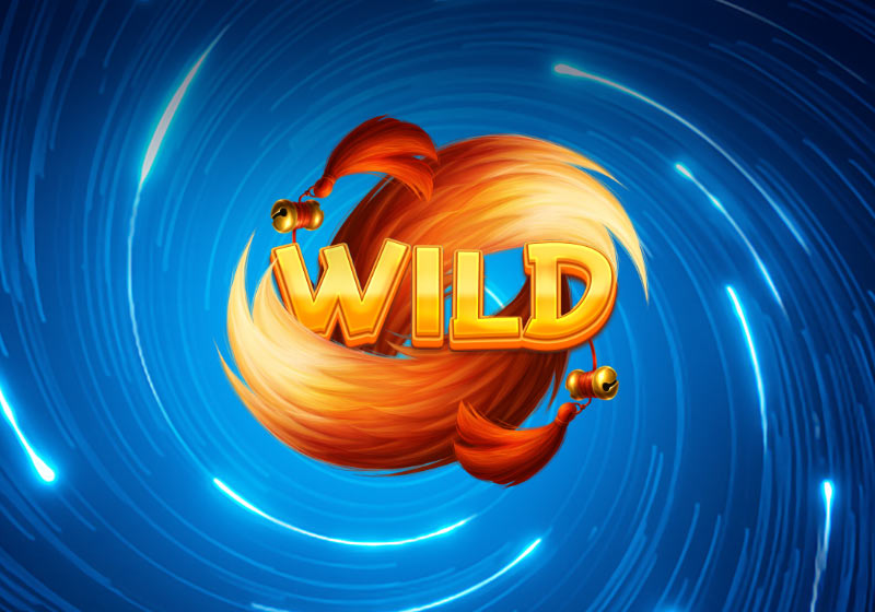 Wild symbols in online slot machines